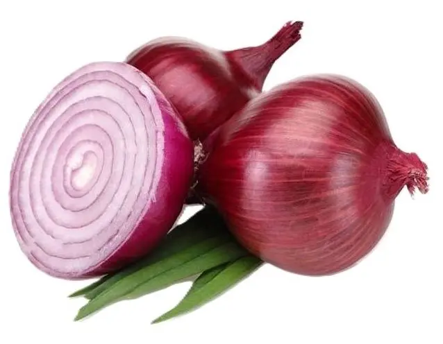 پياز قرمز دستچين رستوراني